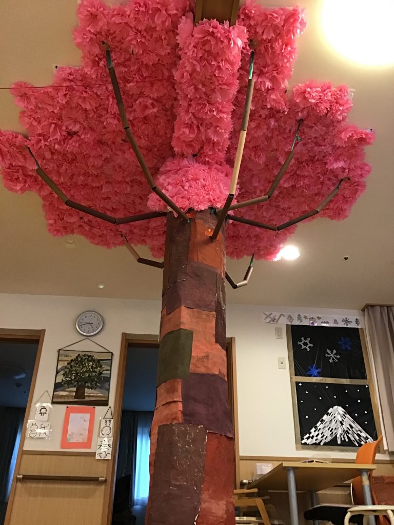 🌸うさぎ桜が満開です🌸