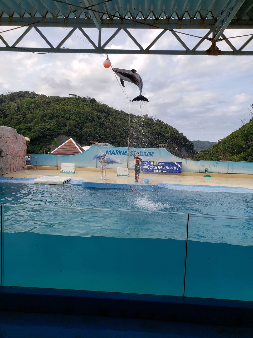 下田水族館へ行きました。