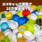エコキャップ運動で25万個達成！地域貢献と環境保護への道のり