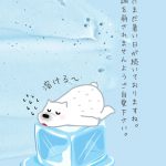 暑いと寒い（施設長ブログ）