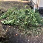 地域の草刈り活動に参加しました