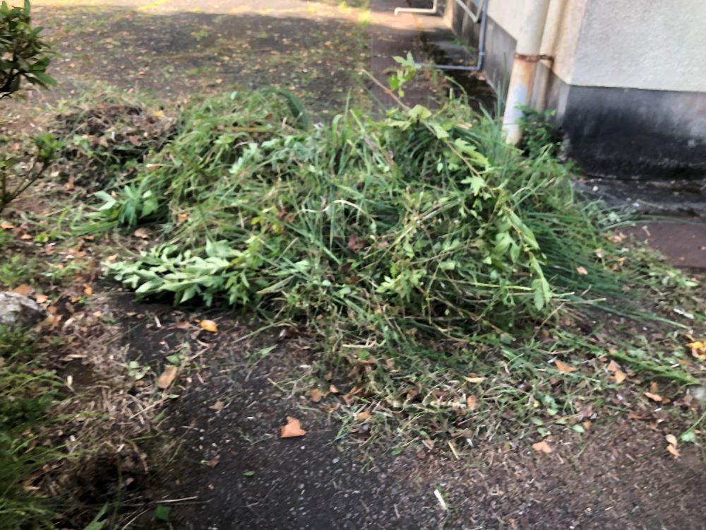 地域の草刈り活動に参加しました