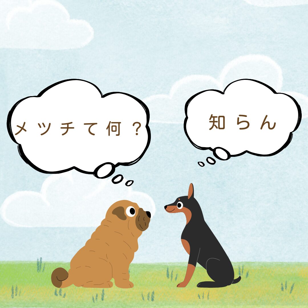 ドッグランにMETSUCHI