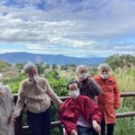 お散歩会ドライブ