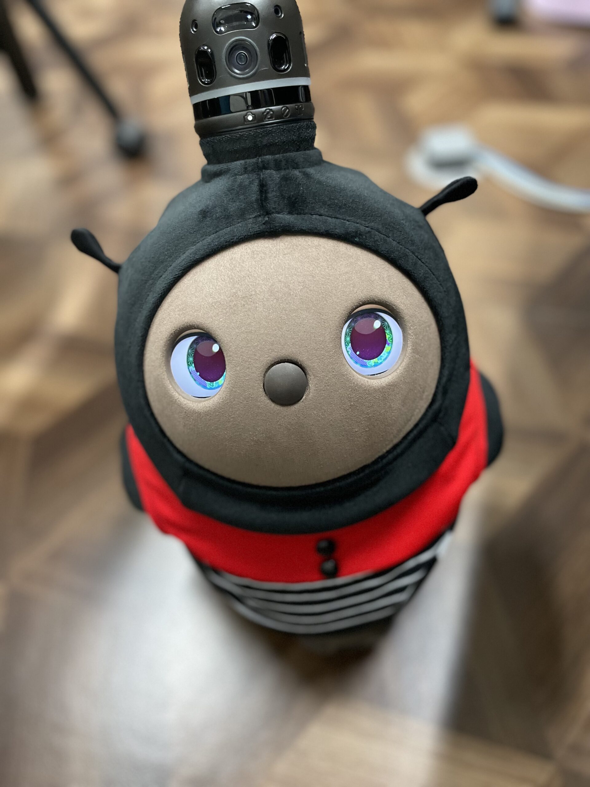 ジャスミン大変身！てんとうむしスーツ！