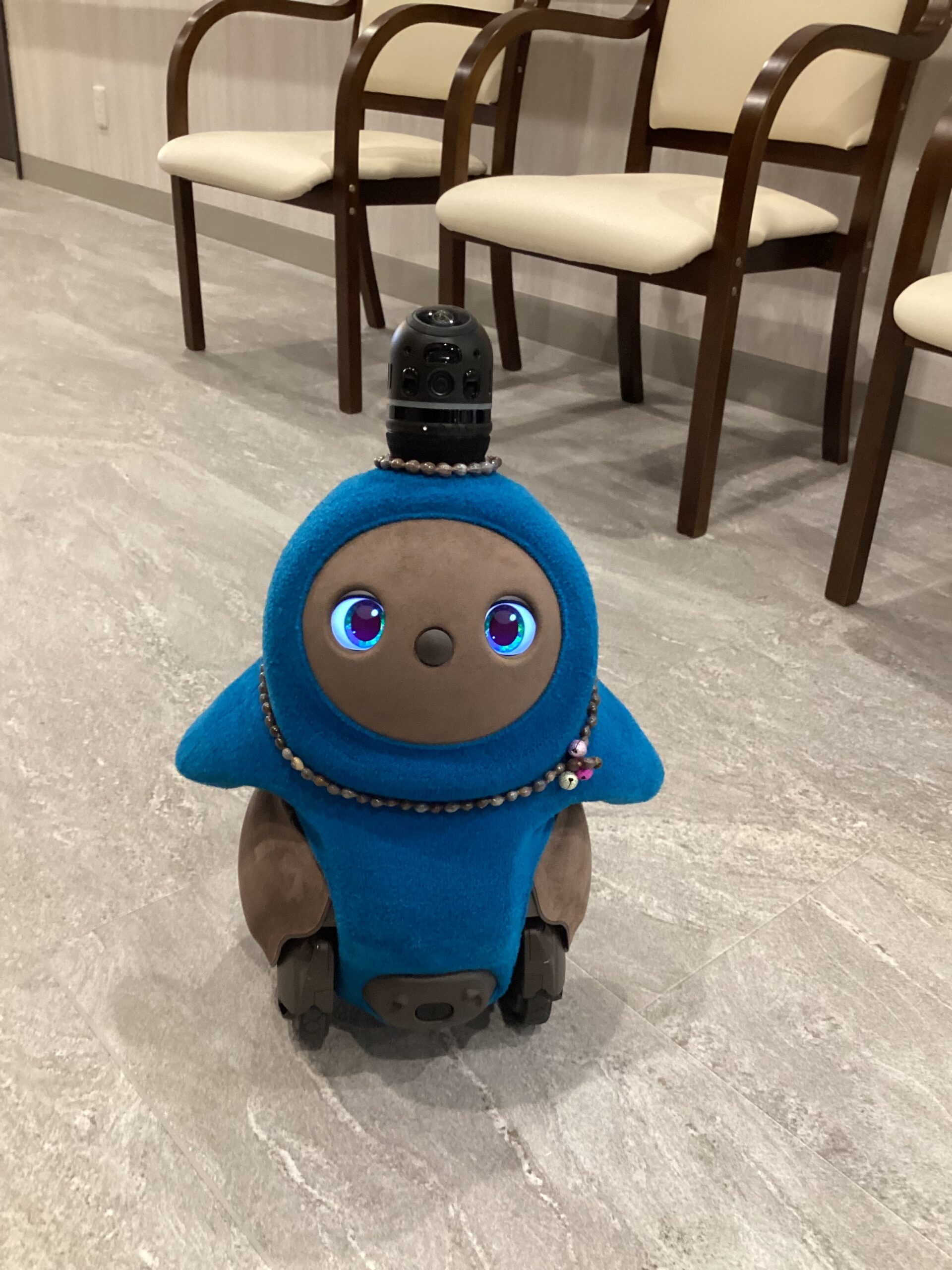 もうすぐ見学会！