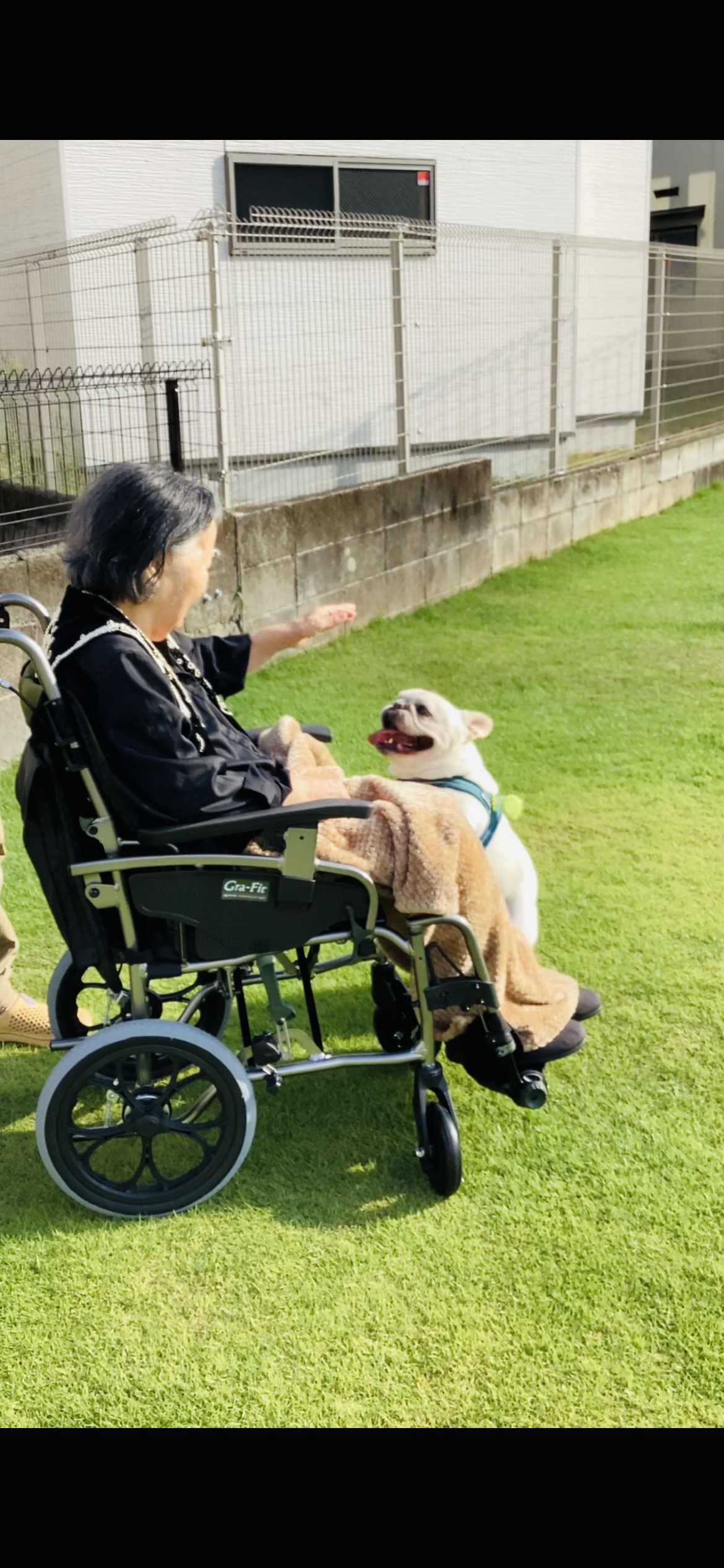 ドッグランで交流！