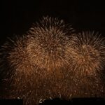 按針祭　花火大会へ遠足！
