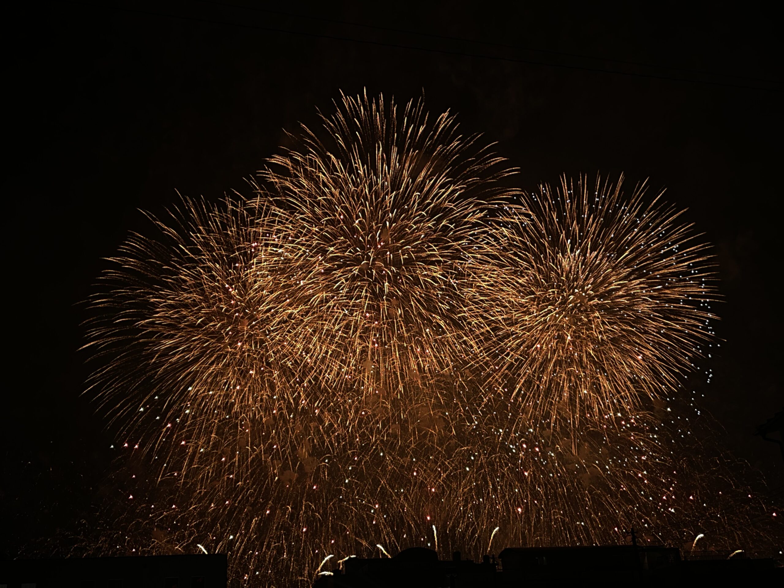 按針祭　花火大会へ遠足！